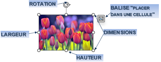 Une image contenant texte, capture d’écran, graphisme, Graphique
Le contenu généré par l’IA peut être incorrect.