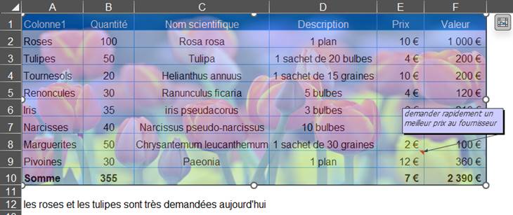 Une image contenant texte, capture d’écran, affichage
Description générée automatiquement